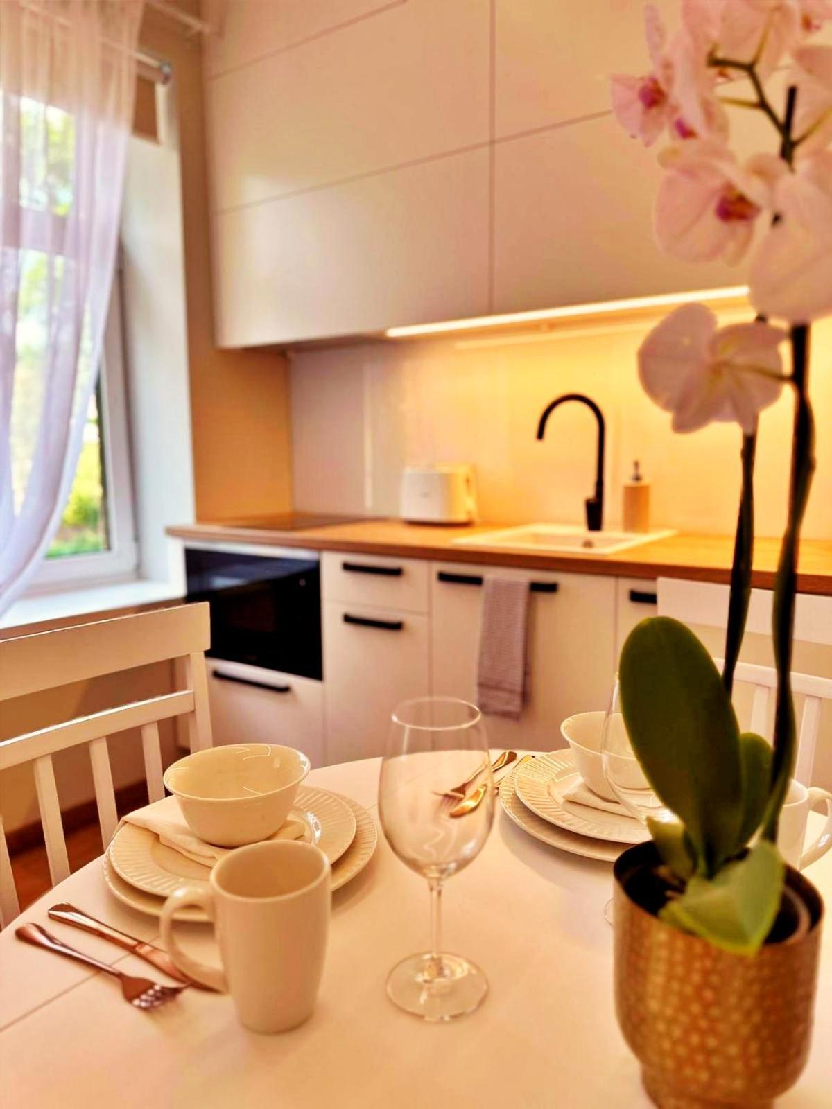 Cozy Apartments Jūrkalne מראה חיצוני תמונה